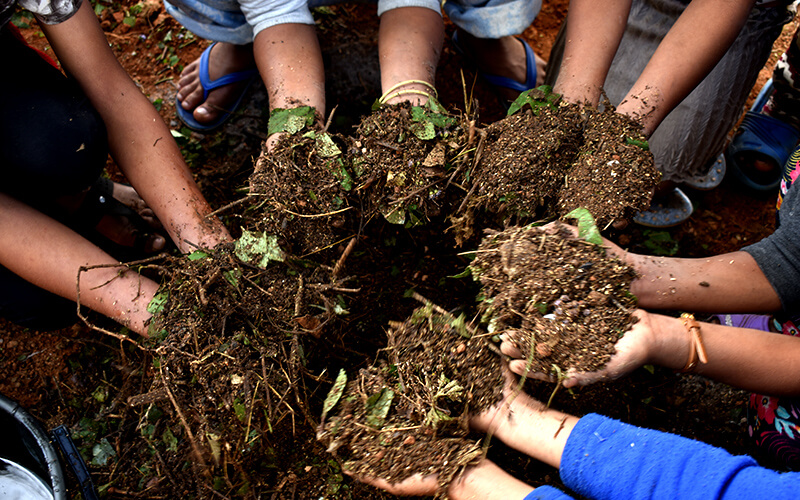 mother earth to pot